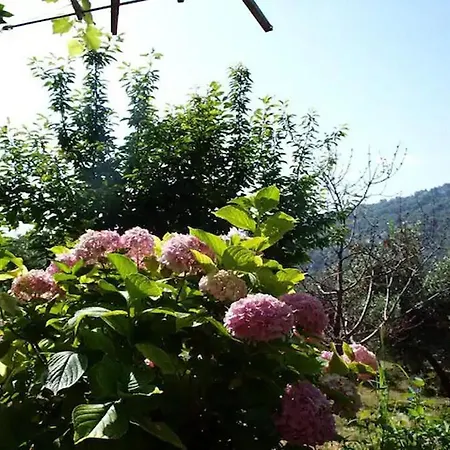 Paradeisos Flatlet With Garden View