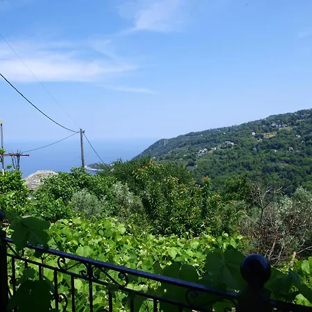 Paradeisos Flatlet With Garden View